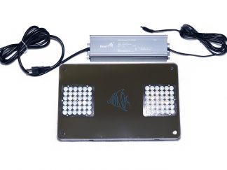 ReeFi LED Duo Deluxe