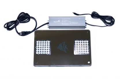 ReeFi LED Duo Deluxe