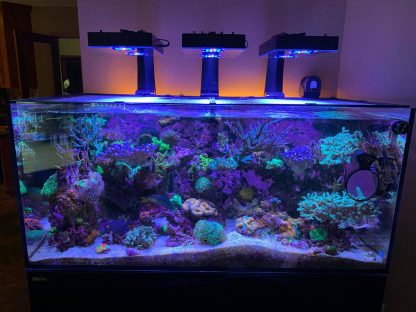 RMS Mount Adaptor for ReeFi Duo Extreme/Deluxe - Image 9