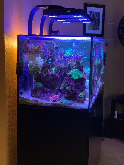 RMS Mount Adaptor for ReeFi Duo Extreme/Deluxe - Image 10