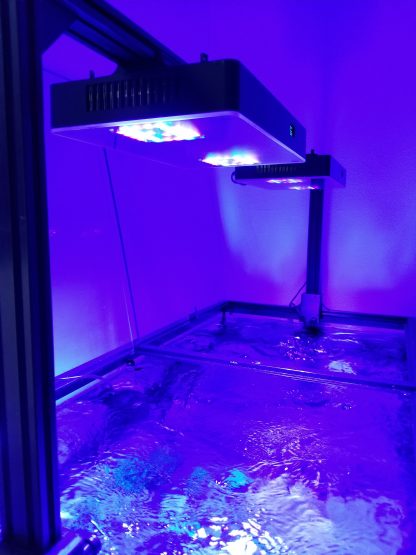 2040 Slide-On Adaptors for ReeFi Duo Extreme/Deluxe - Image 3