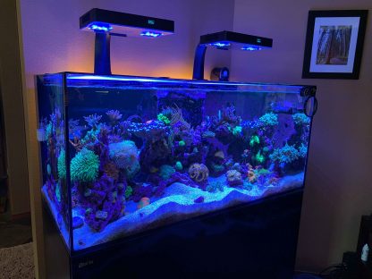 RMS Mount Adaptor for ReeFi Duo Extreme/Deluxe - Image 8