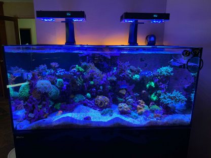 RMS Mount Adaptor for ReeFi Duo Extreme/Deluxe - Image 7