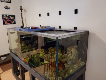 2040 Wall Mounts - Image 4