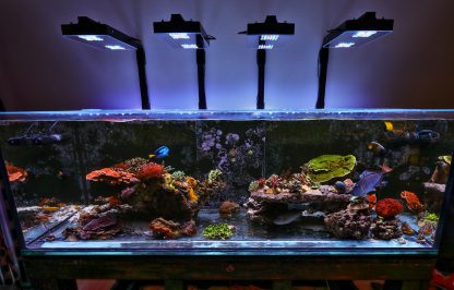 2040 Wall Mounts - Image 2