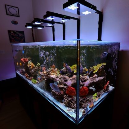 2040 Wall Mounts