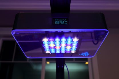 ReeFi Uno Pre-Order - Image 7