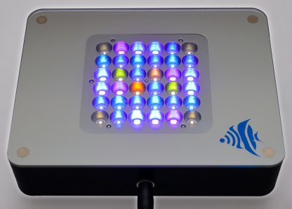 ReeFi Uno Pre-Order - Image 8