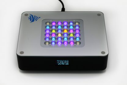 ReeFi Uno Pre-Order - Image 2